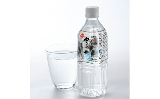 ナチュラル ミネラル ウォーター 雪舟 500ml (計24本) 国産 鉱泉水 水 お水 ミネラル ドリンク 飲料 ペットボトル 防災 備蓄 アウトドア 常温 【opbz009】【さいき本舗 城下堂】