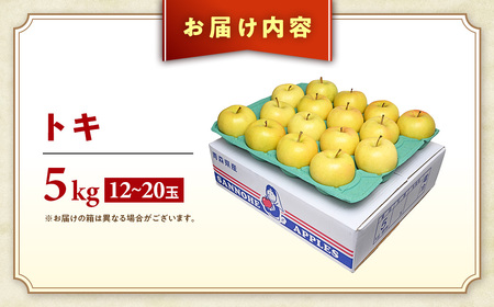 希少！ 青森県産りんご トキ 約5kg 9月下旬～ りんご