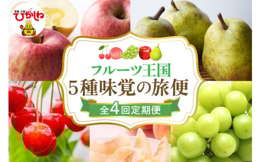 【2025年 先行予約 4回定期便】2025年 フルーツ王国 5種味覚の旅便 千笑花夢提供 山形県 東根市 hi082-002-1