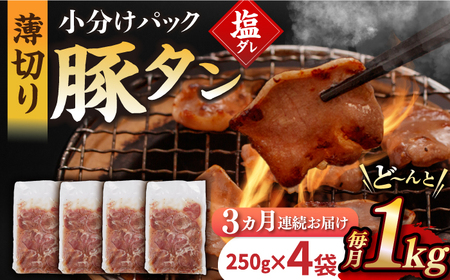 【3回定期便】【塩だれ】九州産 豚タン 毎月250g×4袋 （計3kg）[EAX167] 国産 九州産 豚タン定期便 塩だれ豚タン 豚たん定期便 豚タン 国産豚タン 定期便