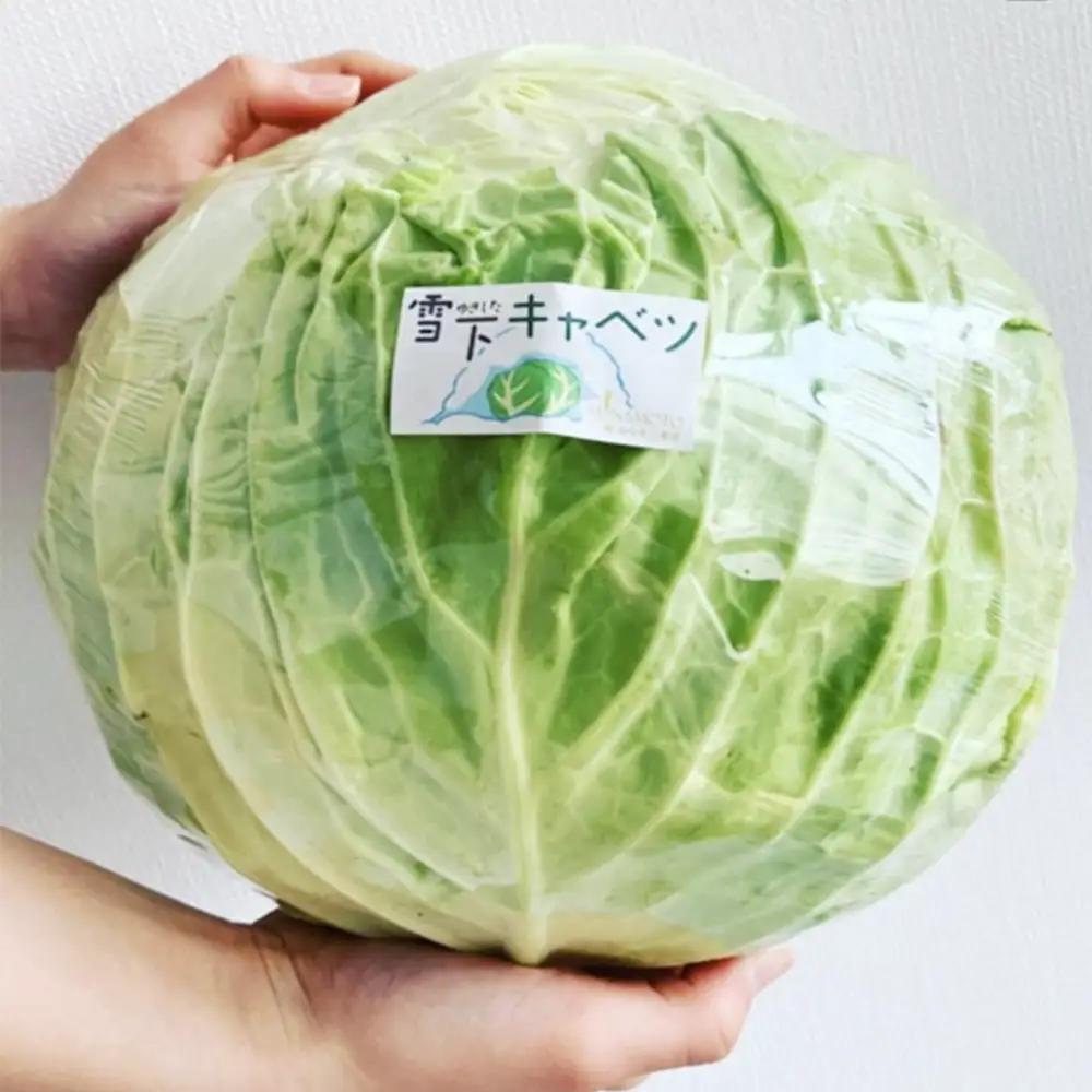 【先行予約】2027年1月中旬より発送！大きな雪下キャベツ約2.5kg×2玉　【07208-0789】