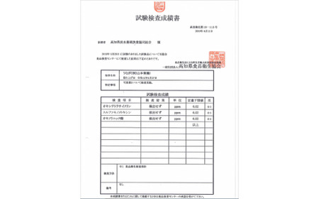 仁淀川特大肉厚うなぎ10尾セット 高知県土佐市 【株式会社山本養鰻】 [BQAL004]