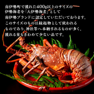 大伊勢海老（400～600g）１尾　山庄水産／　活　伊勢えび　三重県　南伊勢町　ブランド　伊勢志摩