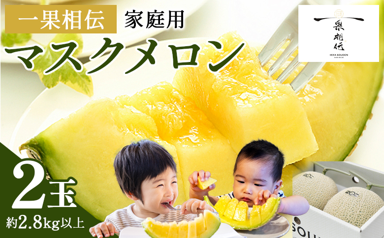 一果相伝マスクメロン家庭用 2玉入り フルーツ メロン 果物 デザート tn-0025