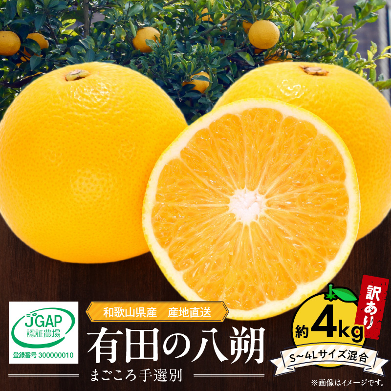 ZE6379n_【2026年先行予約】和歌山県産 有田の 八朔 (はっさく)【訳あり 家庭用】4kg (S～4Lサイズ混合)【まごころ手選別】