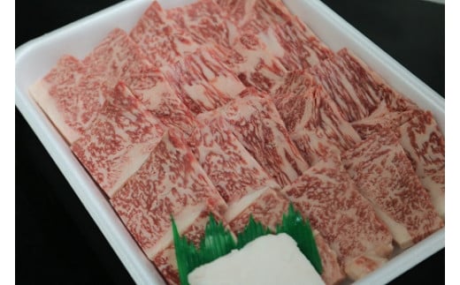 1210 若狭牛ロース焼肉用（冷凍）500g 【 若狭牛 牛肉 肉 ブランド牛 ロース 焼肉 霜降り 冷凍 】[A-068003]