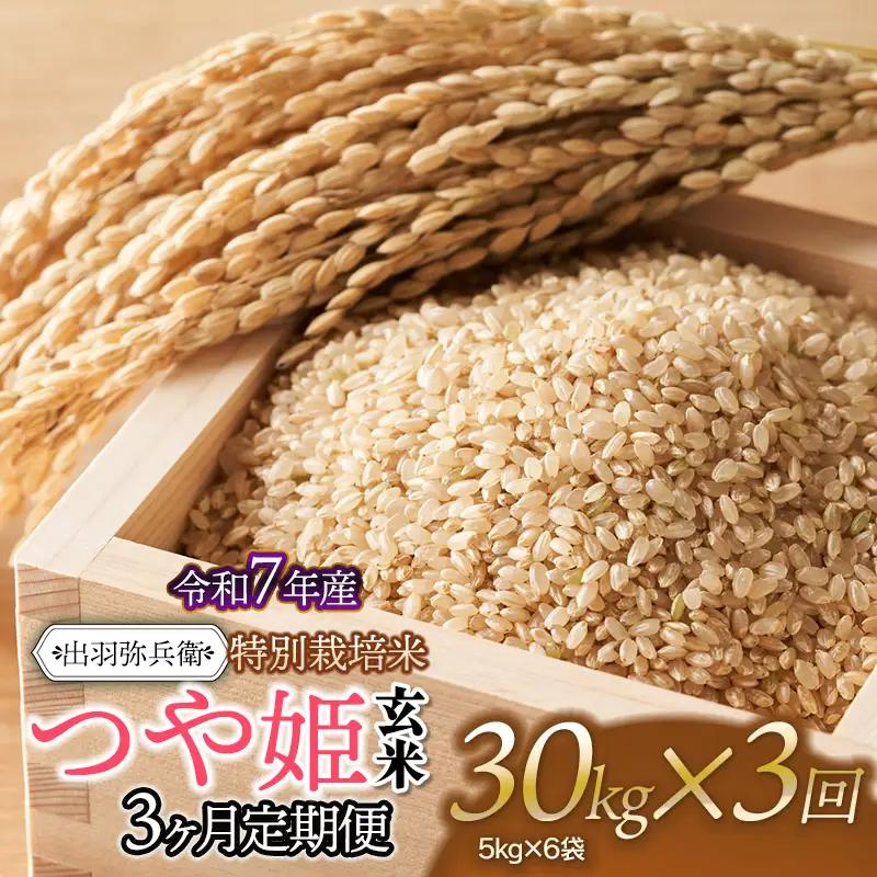 【令和7年産】【定期便3ヶ月】特別栽培米 つや姫 【玄米】　30kg（5kg×6袋）×3回　山形県鶴岡市産　出羽弥兵衛　| お米 米 コメ こめ ライス つやひめ 30キロ ご飯 ブランド米 国産 主