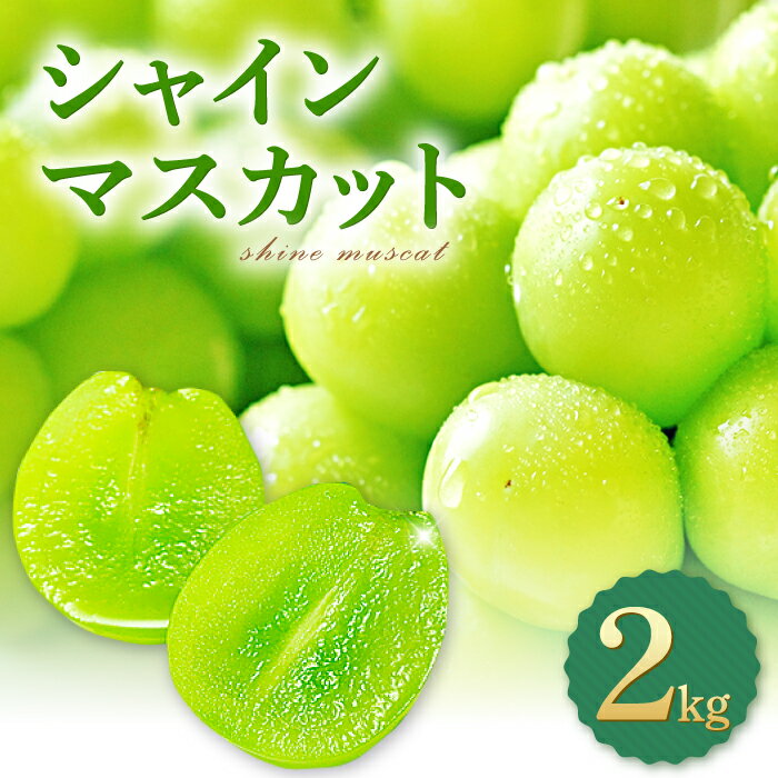 【ふるさと納税】 シャインマスカット 2kg 種無し 皮ごと食べられる 果物 フルーツ ぶどう ブドウ マスカット 甘い 大粒 大きい シャーベット 先行予約 季節限定 期間限定 冷蔵 特産品 お取り寄せ グルメ