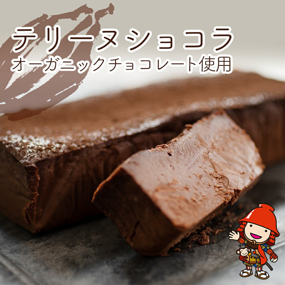 【ふるさと納税】 テリーヌショコラ 1本 | お菓子 菓子 ケーキ 濃厚 テリーヌ チョコレート スイーツ ショコラ チョコ チョコケーキ チョコレートケーキ デザート おやつ オーガニック 大分県 中津市