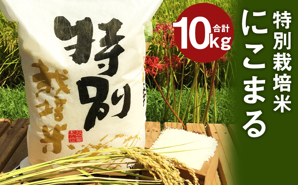 
【令和6年産】特別栽培米 にこまる 10kg （5kg×2）精米 白米 お米 【2024年10月下旬～2025年10月下旬発送予定】
