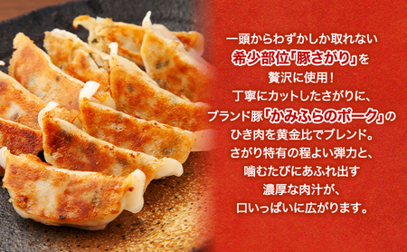 上富良野高校 コラボ開発「豚さがり餃子」 12個入り×5パック ( ご当地グルメ 餃子 中華 冷凍 食品 簡単 おかず 手作り 道産 上富良野町 北海道 )