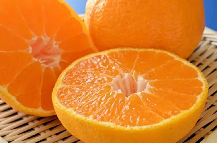 【大人気】和歌山 有田の濃厚 デコポン 15～24玉(約5kg) / みかん 蜜柑 フルーツ 果物 デコポン 不知火 ※2027年1月下旬～3月下旬頃に順次発送 【ard010-noko-r5A】