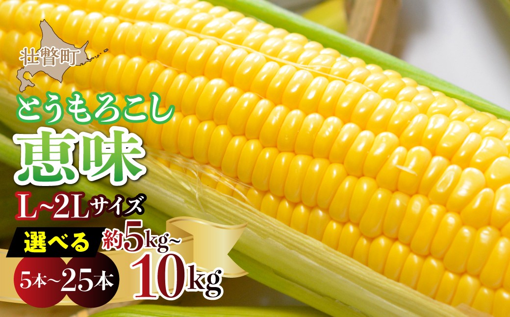 
                  ＜2026年8月初旬よりお届け＞約5~10kg！北海道壮瞥産とうもろこし（恵味） 選べる容量 【Ｌ～2Lサイズ 11～25本】【 ふるさと納税 人気 おすすめ ランキング トウモロコシ とうもろこし 恵味 野菜 甘い 北海道 壮瞥町 送料無料 】 SBTP002
                