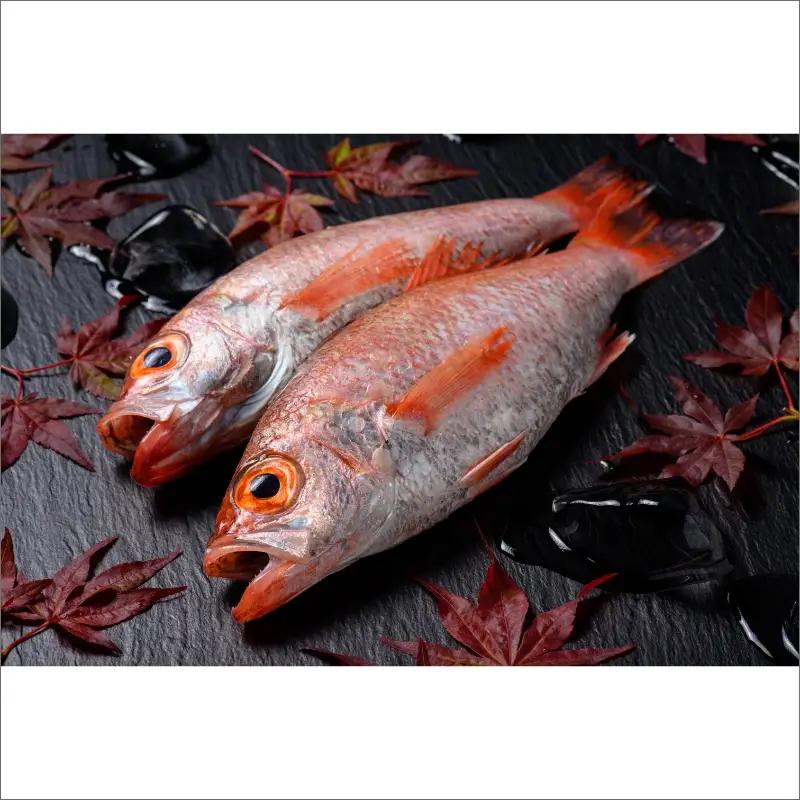 のどぐろ一夜干し３尾 200g級使用「魚政のひもの」 のどぐろ 干物