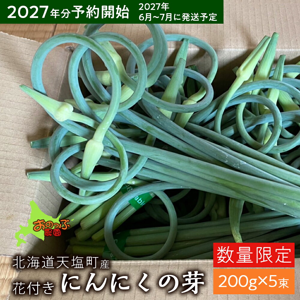 【ふるさと納税】2027年分予約開始★北海道産にんにくの芽 200g×5束《おのっぷ農園》 ふるさと納税 北海道