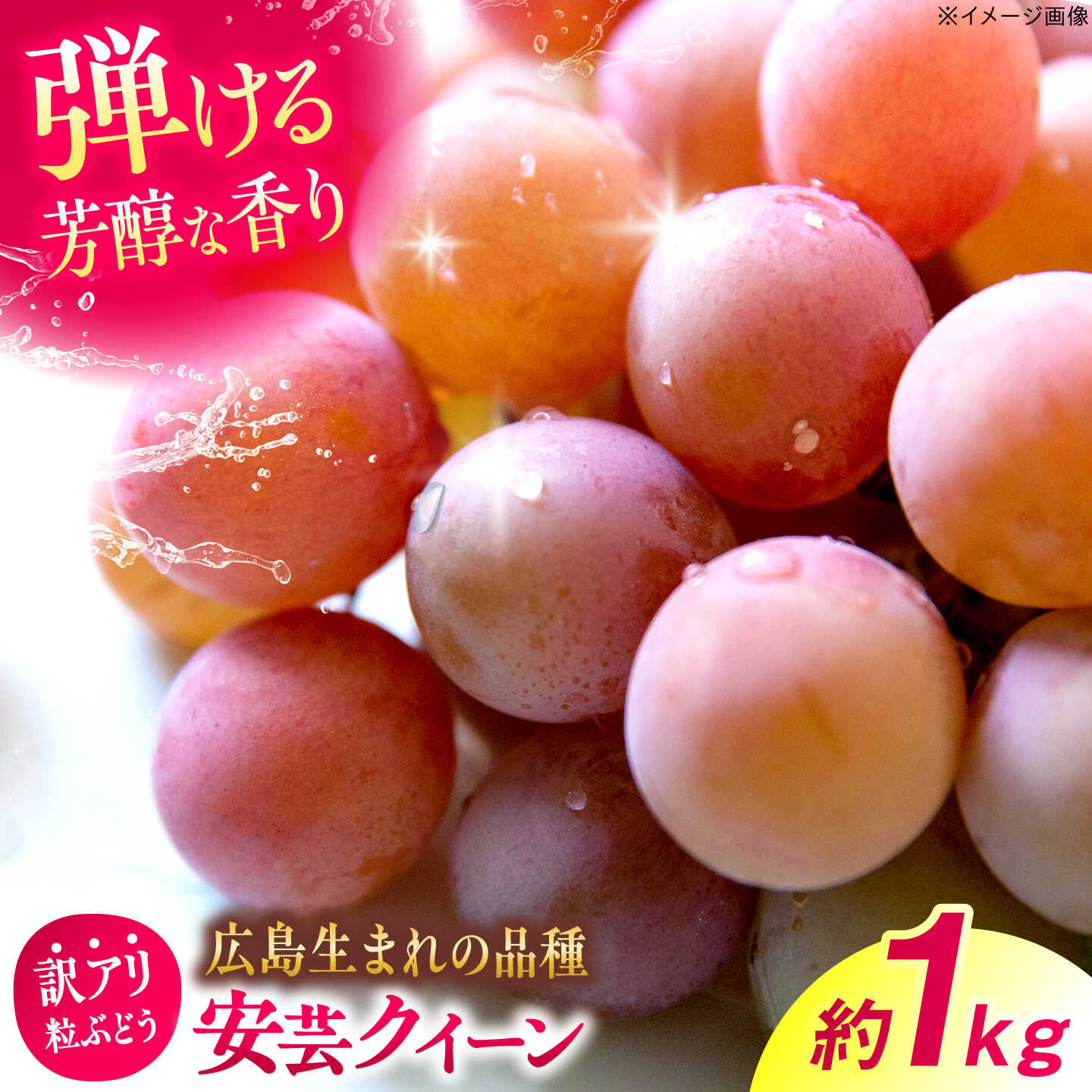 【ふるさと納税】【先行予約】【訳あり】 安芸クイーン 約1kg（500g×2パック）＜8月下旬から順次発送＞ 粒入 ブドウ 果物 くだもの フルーツ ぶどう 葡萄 三次市 / 西田ぶどう園[APCM017]