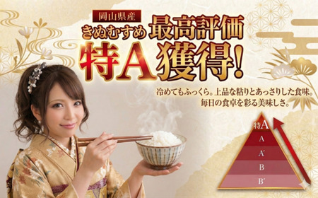 【期間限定寄附額】最高評価「特A」令和7年産 岡山県産米　「きぬむすめ」 10kg(5kg×2袋)　＜6月発送＞