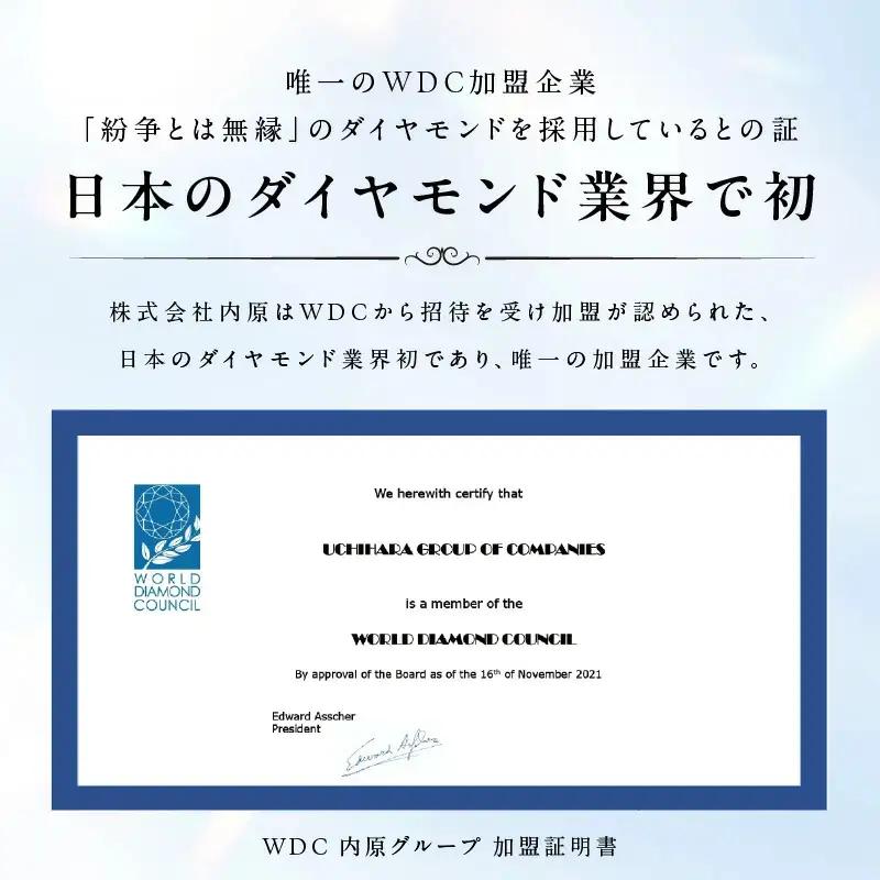 【高島屋選定品】プラチナダイヤモンド ペンダント（ダイヤ合計 ５ct）【鑑別書付き】