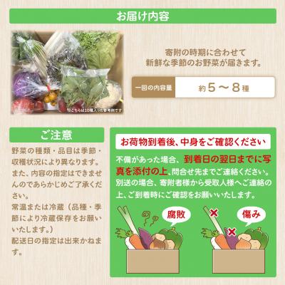 ふるさと納税 境町 【定期便/6ヶ月連続お届け】さかいの採れたて 野菜セット(5〜8種) 道の駅さかい 産地直送 新鮮 |  | 02