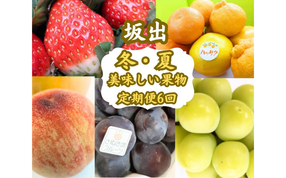 【全6回】坂出　冬・夏　美味しい果物定期便