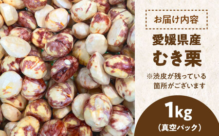 ムキ栗 1.0kg 栗【10月上旬から順次発送】 [AGBN034]