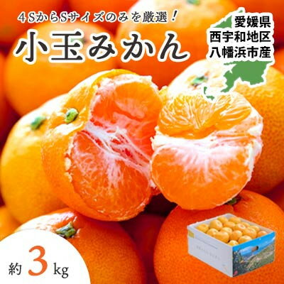 【ふるさと納税】【2025年11月より順次出荷】小さいみかんを厳選!愛媛みかん小玉3kg【訳あり】【A25-218】【1626121】