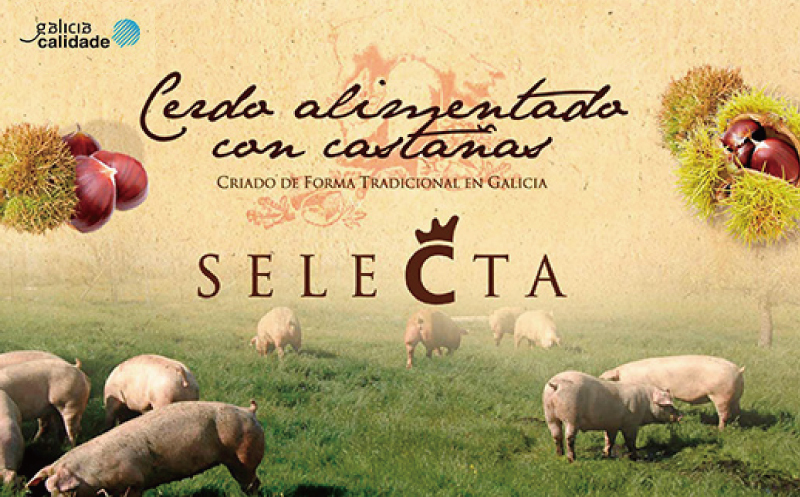 栗豚 切り落とし 2.4kg【オリジナルスパイス仕込み 小分け 300g×8P 豚肉 焼くだけ】 099H3117_イメージ3