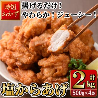 ふるさと納税 佐伯市 時短おかず 揚げるだけ やわらか!ジューシー!塩からあげ (計2kg・500g×4P)