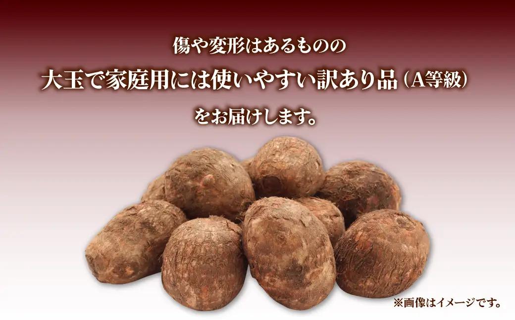【先行予約】里芋 5キロ 訳あり 里芋