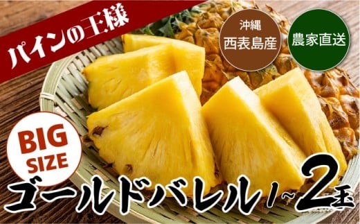 
                  【2026年発送】〈選べる数量〉【2026年発送】ゴールドバレルビッグな1玉/2玉セット
                