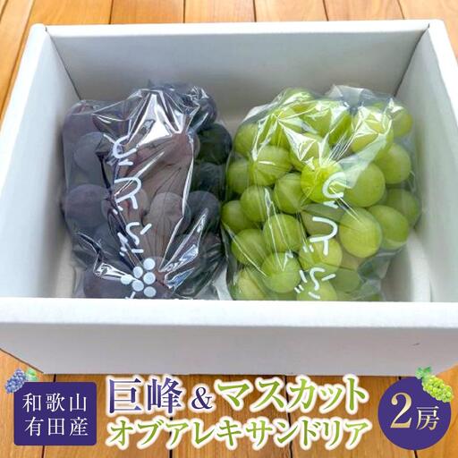 先行予約 和歌山 有田産 2色 ぶどう 詰め合わせ 巨峰 マスカットオブアレキサンドリア［2026年8月下旬以降発送］ | ぶどう 巨峰