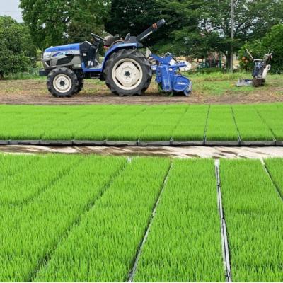 ふるさと納税 小郡市 100年続く田中農園のうまい米 元気つくし 「田中茂米」 精米 5kg[No5354-2181] |  | 01