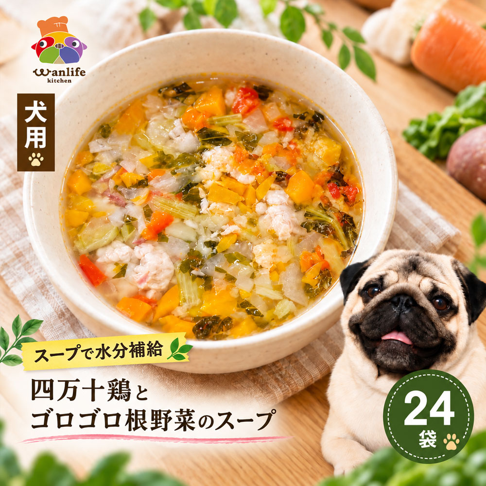 【ふるさと納税】犬用 ペットフード 「国産豚肉と高知野菜の無添加スープ 24袋セット」 送料無料 [ 高知県四万十市 冷凍 ドッグフード 犬 犬用 ペット用 ごはん 水分補給 栄養 健康 安心 安全 水分補給 国産豚肉 高知 土佐 高知野菜 お取り寄せ ]