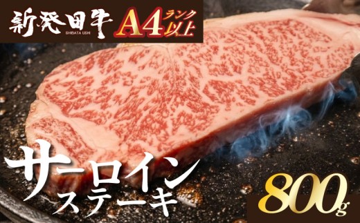 【新潟の宝】サーロイン ステーキ 牛肉 800g にいがた和牛 和牛 新発田牛 赤身 焼肉 ふるさと納税 和牛 BBQ キャンプ 特選 贅沢 厳選和牛 ブランド牛 ギフト 贈答 お歳暮 父の日 新潟 新潟県 新潟産 新発田 新発田市 新発田産 えのもとミート