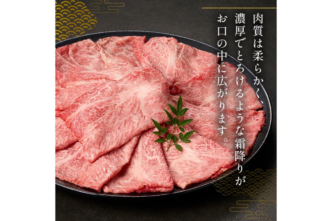 【7営業日以内発送】 飛騨牛　肩ローススライス（すき焼き・しゃぶしゃぶ用）600g（300g×2）　【0016-111】