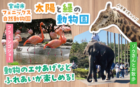 宮崎市フェニックス自然動物園＆フローランテ宮崎共通年間パスポート（小人） イベント 動物園 自然