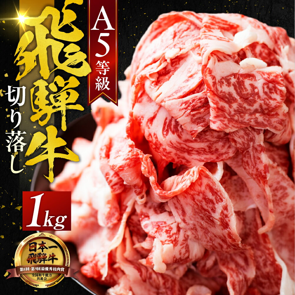 【ふるさと納税】＼高評価★4.8／最高級 A5 飛騨牛 切り落とし 1kg (500g×2) 牛肉 定期便 選べる 3回 / 6回 / 12回 訳あり 不揃い 家庭用 小分け すき焼き 牛丼 おすすめ 黒毛和牛 人気 岐阜県 大垣市　ランキング 切落し 牛肉 肉