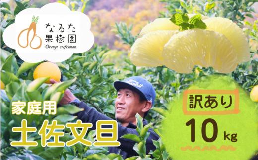 成田果樹園の土佐文旦 10kg (家庭用) 訳あり M?5L 混合 成田果樹園 文旦10kg L 2L 3L 4L 5L 10キロ 大玉 文旦大玉 文旦4L 3l 4l 5l ぶんたん 文旦 柑橘 柑