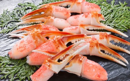 生冷凍 カット済 ずわい蟹 カニセット 1.2kg【03058a】