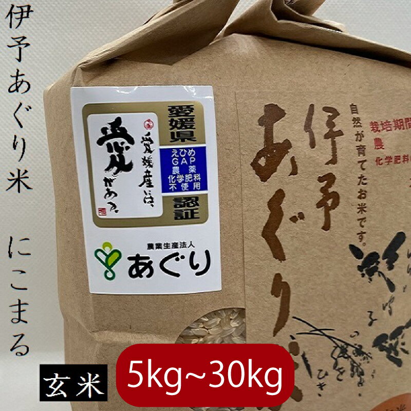 【ふるさと納税】 【キロ数が選べる】米 玄米 5～30kg 伊予 あぐり米 にこまる 令和6年産 米 農薬・化学肥料不使用 米 玄米 令和6年産 お米 こめ 農薬・化学肥料不使用 おこめ お米 贈答 有限会社あぐり 愛媛県 松前町