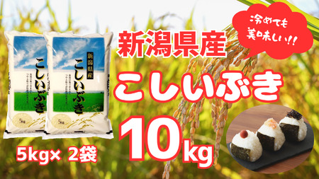 【令和7年産】新潟産 こしいぶき 10kg（5kg×2袋） 白米 精米 米 こめ コメ 1N17023