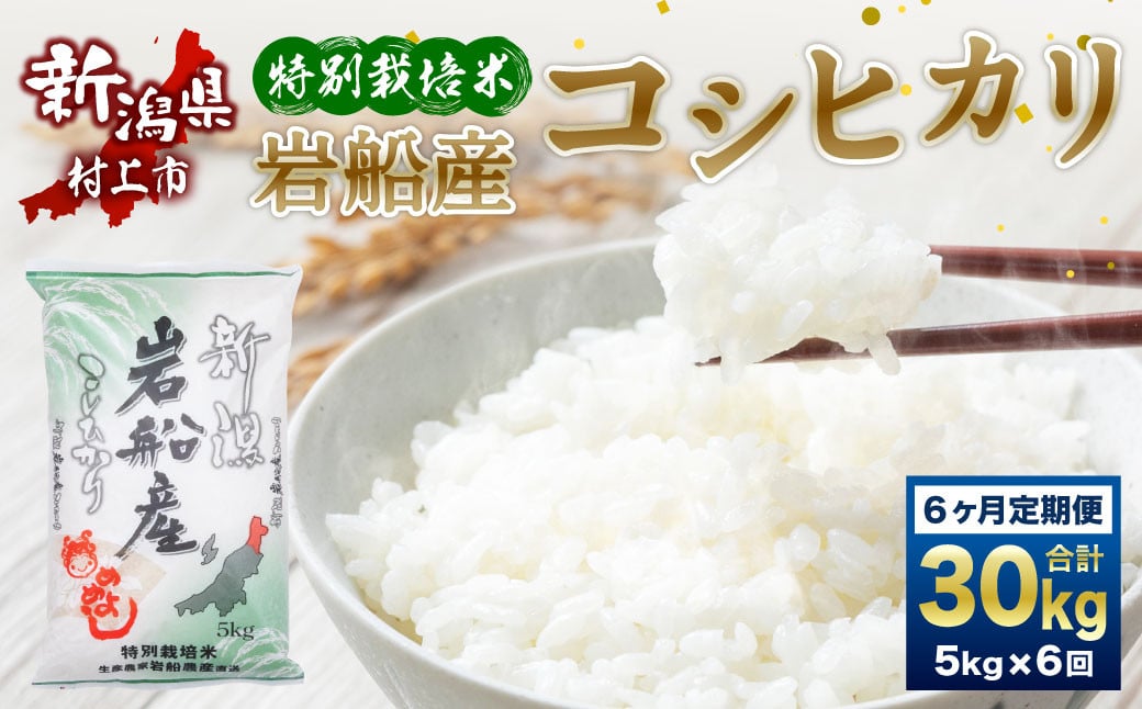 
                  【令和7年産米】特別栽培米  新潟県岩船産 コシヒカリ 30kg（5kg×6ヶ月コース） 定期便  毎月 お米  白米 こしひかり 精米 村上市 1013012
                
