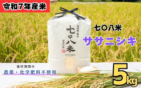 米 【5kg】 令和7年産 ササニシキ 長野県産 【七〇八米】7-83