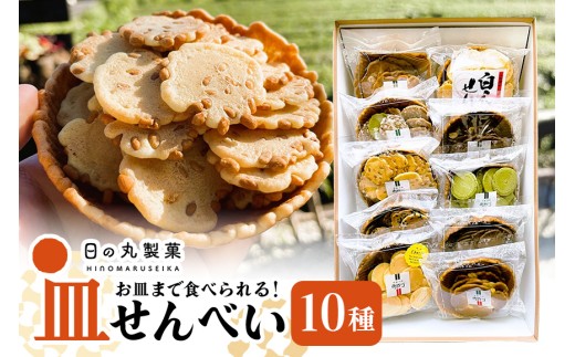 お皿まで食べられる！八百津せんべい「皿せんべい」詰合せ 10種セット 煎餅 おやつ お菓子 (381)