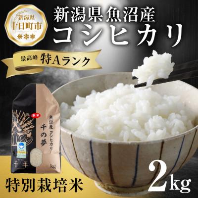 ふるさと納税 十日町市 魚沼産 コシヒカリ 特別栽培米 精米 2kg 産地直送  新潟県十日町市