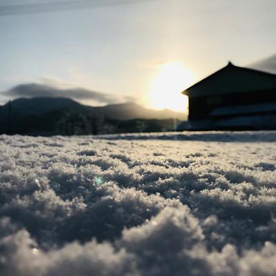 ふるさと納税 新庄市 魅惑のはえぬき(精米)　3kg |  | 01
