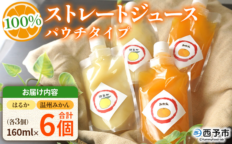＜温州みかん＆はるか100％ストレートジュース パウチタイプ 160ml×各3個 計6個＞『1か月以内に順次発送予定』飲み比べ セット 果物 くだもの フルーツ 柑橘類 みかん 蜜柑 ミカン みかんジュース 飲料 渡江から一歩を踏み出す会 愛媛県 西予市【常温】