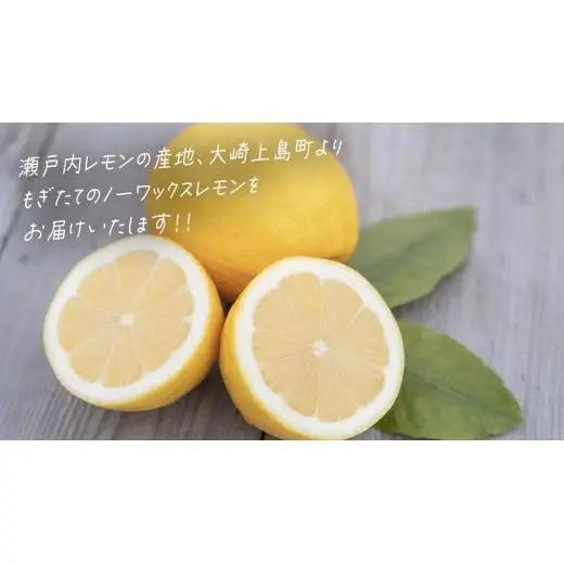 【先行予約】 もぎたてフレッシュ！ せとうちレモン 約3kg (約 20～30個程度) 2027年1月～2月発送 ワックス防腐剤不使用 皮まで丸ごと食べられる