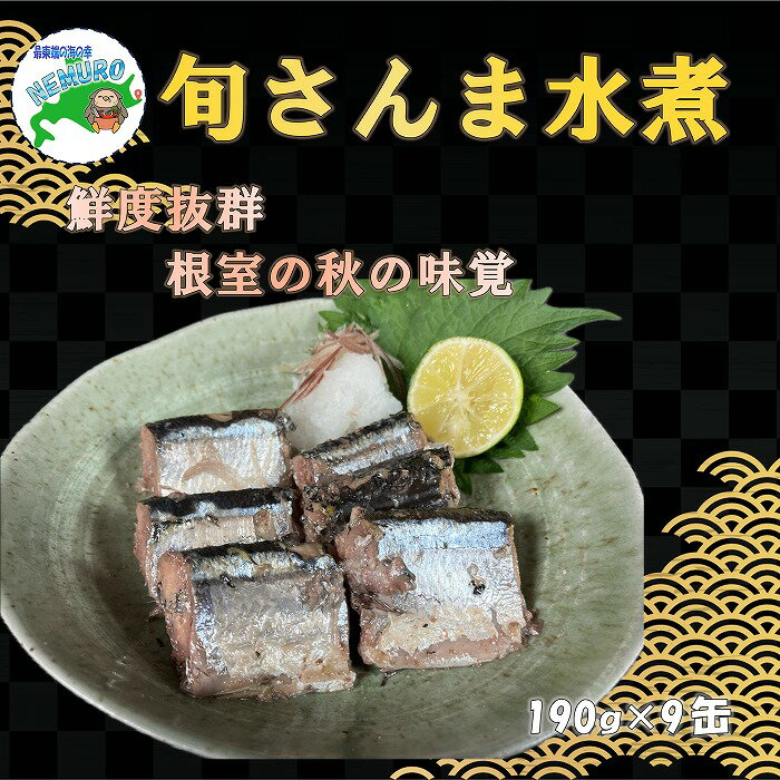 【ふるさと納税】[北海道根室産]旬さんま水煮190g×9缶 B-78024