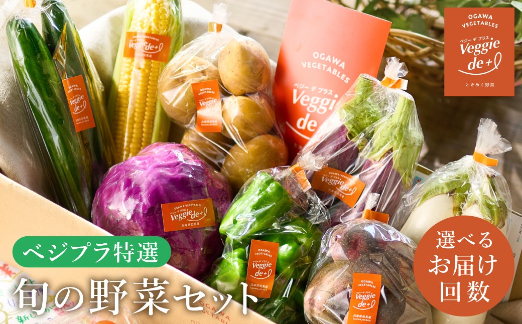 
                  旬の新鮮なお野菜を産地直送！ベジプラ特選 旬の野菜セット 【選べる定期便1回・4回・12回】 / 野菜 詰め合わせ セット 野菜セット やさい 苦みが少ない 甘い【野菜例：キャベツ 水菜 ミニトマト レタス とろり葱 ほうれん草 etc】 Veggie de＋
                